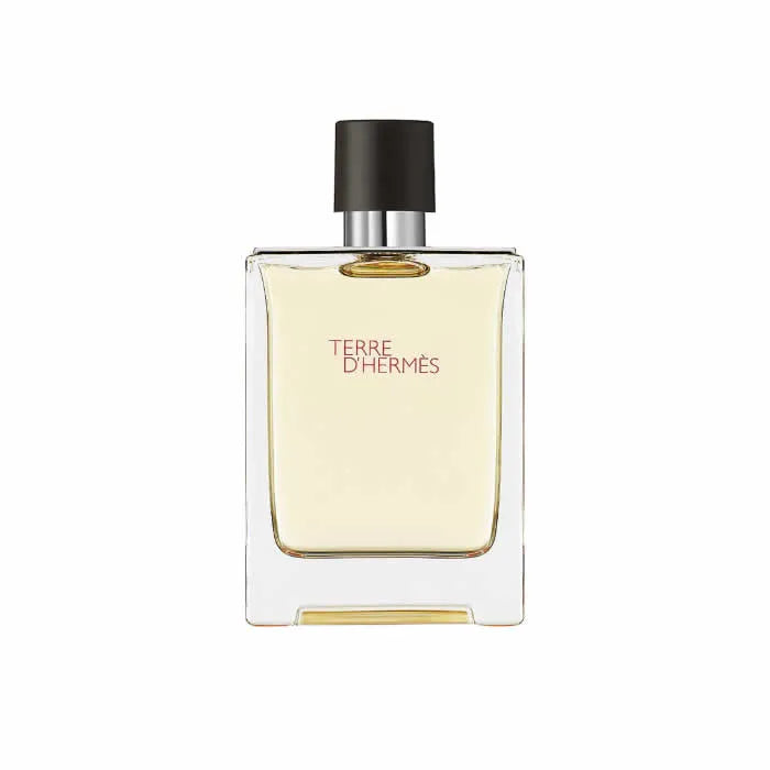 Hermes Terre D'Hermes Eau De Toilette Spray 100ml - Orient Perfumes Portugal