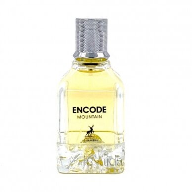 Encode Mountain EDP 100ml